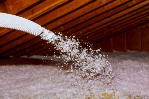 Best Insulation Maintenance and Repair in Skippers Corner, NC