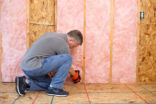 Best Specialized Insulation Services in Skippers Corner, NC